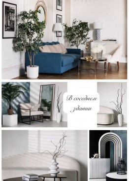 Интерьерная студия Минимал - голубой диван с растениями и аркой