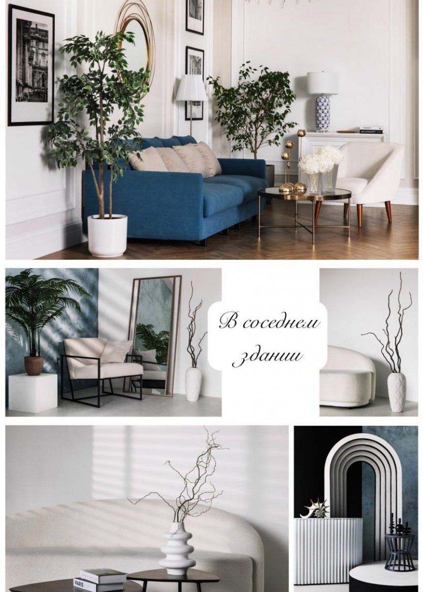 Интерьерная фотостудия с голубым диваном, растениями и аркой в Краснодаре 2026